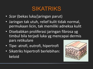 SIKATRIKS
• Scar (bekas luka/jaringan parut)
• Jaringan tak utuh, relief kulit tidak normal,
permukaan licin, tak memiliki adneksa kulit
• Disebabkan proliferasi jaringan fibrosa yg
timbul bila terjadi luka yg mencapai dermis
pars retikulare
• Tipe: atrofi, eutrofi, hipertrofi
• Sikatriks hipertrofi berlebihan:
keloid
 