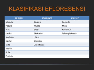 KLASIFIKASI EFLORESENSI
PRIMER SEKUNDER KHUSUS
Makula Skuama Komedo
Papula Krusta Milia
Plak Erosi Kanalikuli
Urtika Ekskoriasi Teleangiektasia
Nodulus Ulkus
Nodul Sikatriks
Kista Likenifikasi
Vesikel
Bula
Pustula
 