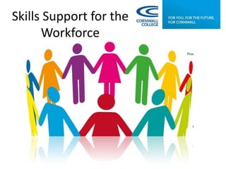 Skills Support for the
Workforce

 