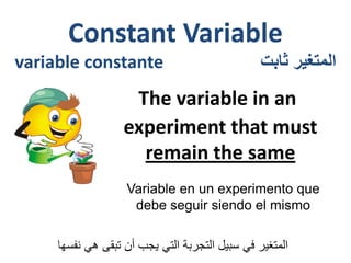 Constant Variable 
variable constante المتغير ثابت 
The variable in an experiment that must remain the same 
المتغير في سبيل التجربة التي يجب أن تبقى هي نفسها 
Variable en un experimento que debe seguir siendo el mismo  