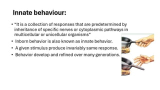 Innate Skill Examples Kinds of behavior in animals innate behaviors and learned behaviors | PPTX