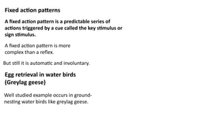 Kinds of behavior in animals innate behaviors and learned behaviors ...