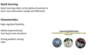 Innate Skill Examples Kinds of behavior in animals innate behaviors and learned behaviors | PPTX
