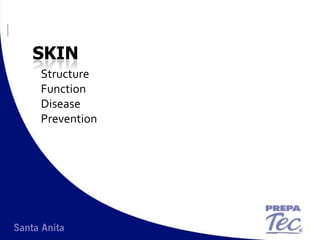 Skin Structure Function Disease  Prevention 