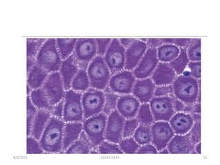 8/5/2012   1212413114   11
 