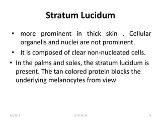 Stratum Lucidum
 • more prominent in thick skin . Cellular
    organells and nuclei are not prominent.
 • It is composed of clear non-nucleated cells.
• In the palms and soles, the stratum lucidum is
  present. The tan colored protein blocks the
  underlying melanocytes from view



8/5/2012             1212413114                13
 