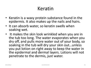 Keratin
• Keratin is a waxy protein substance found in the
  epidermis. It also makes up the nails and hairs.
• It can absorb water, so keratin swells when
  soaking wet.
• It makes the skin look wrinkled when you are in
  the tub too long. The water evaporates when you
  dry off, and pulls more water out of your body, so
  soaking in the tub will dry your skin out…unless
  you put lotion on right away to keep the water in
  the epidermal and dermal layers. Lotions will not
  penetrate to the dermis, just water.

8/5/2012               1212413114                  15
 
