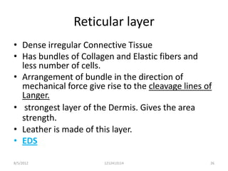 Reticular layer
• Dense irregular Connective Tissue
• Has bundles of Collagen and Elastic fibers and
  less number of cells.
• Arrangement of bundle in the direction of
  mechanical force give rise to the cleavage lines of
  Langer.
• strongest layer of the Dermis. Gives the area
  strength.
• Leather is made of this layer.
• EDS

8/5/2012                1212413114                  26
 