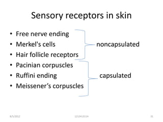 Sensory receptors in skin
•   Free nerve ending
•   Merkel's cells                  noncapsulated
•   Hair follicle receptors
•   Pacinian corpuscles
•   Ruffini ending                  capsulated
•   Meissener’s corpuscles



8/5/2012               1212413114                   31
 