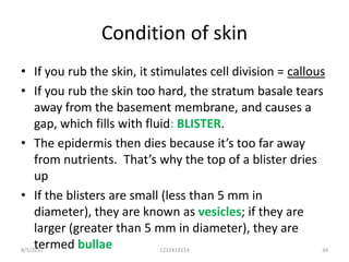 Condition of skin
• If you rub the skin, it stimulates cell division = callous
• If you rub the skin too hard, the stratum basale tears
     away from the basement membrane, and causes a
     gap, which fills with fluid: BLISTER.
• The epidermis then dies because it’s too far away
     from nutrients. That’s why the top of a blister dries
     up
• If the blisters are small (less than 5 mm in
     diameter), they are known as vesicles; if they are
     larger (greater than 5 mm in diameter), they are
     termed bullae
8/5/2012                      1212413114                   34
 