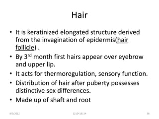 Hair
• It is keratinized elongated structure derived
  from the invagination of epidermis(hair
  follicle) .
• By 3rd month first hairs appear over eyebrow
  and upper lip.
• It acts for thermoregulation, sensory function.
• Distribution of hair after puberty possesses
  distinctive sex differences.
• Made up of shaft and root
8/5/2012              1212413114                38
 