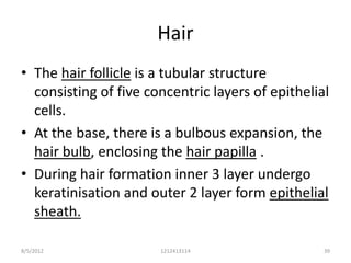 Hair
• The hair follicle is a tubular structure
  consisting of five concentric layers of epithelial
  cells.
• At the base, there is a bulbous expansion, the
  hair bulb, enclosing the hair papilla .
• During hair formation inner 3 layer undergo
  keratinisation and outer 2 layer form epithelial
  sheath.

8/5/2012               1212413114                  39
 