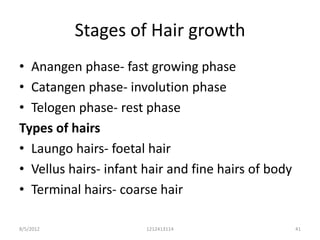 Stages of Hair growth
• Anangen phase- fast growing phase
• Catangen phase- involution phase
• Telogen phase- rest phase
Types of hairs
• Laungo hairs- foetal hair
• Vellus hairs- infant hair and fine hairs of body
• Terminal hairs- coarse hair

8/5/2012               1212413114                    41
 