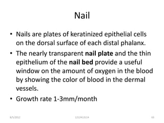 Nail
• Nails are plates of keratinized epithelial cells
  on the dorsal surface of each distal phalanx.
• The nearly transparent nail plate and the thin
  epithelium of the nail bed provide a useful
  window on the amount of oxygen in the blood
  by showing the color of blood in the dermal
  vessels.
• Growth rate 1-3mm/month

8/5/2012              1212413114                 43
 