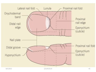 8/5/2012   1212413114   45
 