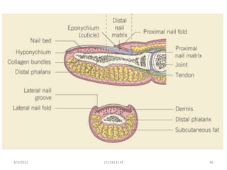 8/5/2012   1212413114   46
 