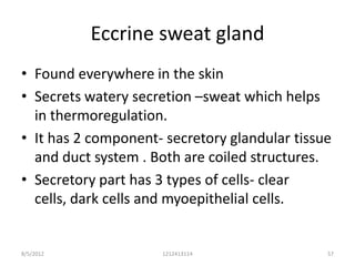 Eccrine sweat gland
• Found everywhere in the skin
• Secrets watery secretion –sweat which helps
  in thermoregulation.
• It has 2 component- secretory glandular tissue
  and duct system . Both are coiled structures.
• Secretory part has 3 types of cells- clear
  cells, dark cells and myoepithelial cells.


8/5/2012             1212413114                57
 