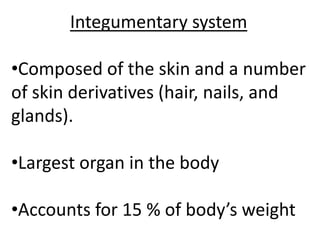 Integumentary system

•Composed of the skin and a number
of skin derivatives (hair, nails, and
glands).

•Largest organ in the body

•Accounts for 15 % of body’s weight
 