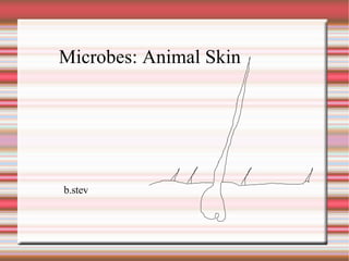 b.stev Microbes: Animal Skin 