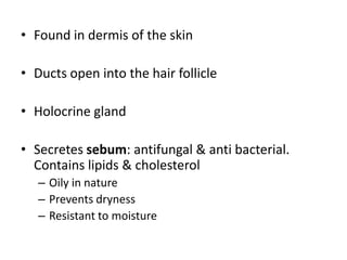 • Found in dermis of the skin
• Ducts open into the hair follicle
• Holocrine gland
• Secretes sebumsebum: antifungal & anti bacterial.
Contains lipids & cholesterol
– Oily in nature
– Prevents dryness
– Resistant to moisture
 