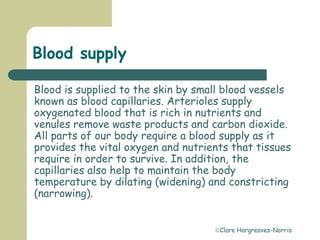 Clare Hargreaves-Norris
Blood supply
Blood is supplied to the skin by small blood vessels
known as blood capillaries. Arterioles supply
oxygenated blood that is rich in nutrients and
venules remove waste products and carbon dioxide.
All parts of our body require a blood supply as it
provides the vital oxygen and nutrients that tissues
require in order to survive. In addition, the
capillaries also help to maintain the body
temperature by dilating (widening) and constricting
(narrowing).
 