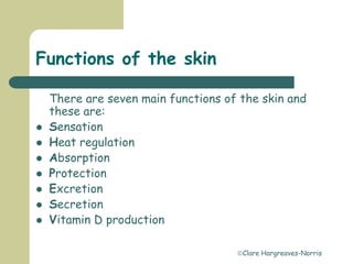 Clare Hargreaves-Norris
Functions of the skin
There are seven main functions of the skin and
these are:
 Sensation
 Heat regulation
 Absorption
 Protection
 Excretion
 Secretion
 Vitamin D production
 