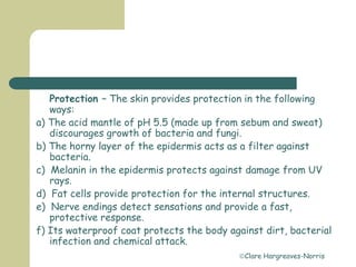 Clare Hargreaves-Norris
Protection – The skin provides protection in the following
ways:
a) The acid mantle of pH 5.5 (made up from sebum and sweat)
discourages growth of bacteria and fungi.
b) The horny layer of the epidermis acts as a filter against
bacteria.
c) Melanin in the epidermis protects against damage from UV
rays.
d) Fat cells provide protection for the internal structures.
e) Nerve endings detect sensations and provide a fast,
protective response.
f) Its waterproof coat protects the body against dirt, bacterial
infection and chemical attack.
 