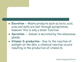 Clare Hargreaves-Norris
 Excretion – Waste products such as lactic acid,
urea and salts are lost through perspiration,
however this is only a minor function.
 Secretion - Sebum is secreted by the sebaceous
glands.
 Vitamin D production – Due to the reaction of
sunlight on the skin, a chemical reaction occurs
resulting in the production of vitamin D.
 