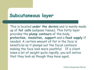 Clare Hargreaves-Norris
Subcutaneous layer
This is located under the dermis and is mainly made
up of fat cells (adipose tissue). This fatty layer
provides the plump contours of the body,
protection, insulation, support and a food supply if
needed. A certain amount of fat in the face is
beneficial as it plumps out the facial contours
making the face look more youthful. If a client
loses a lot of weight quite rapidly, you will notice
that they look as though they have aged.
 