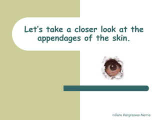 Clare Hargreaves-Norris
Let’s take a closer look at the
appendages of the skin.
 