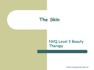 Clare Hargreaves-Norris
The Skin
NVQ Level 3 Beauty
Therapy
 