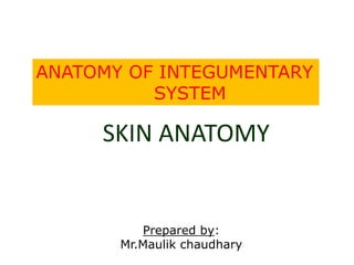 SKIN ANATOMY
ANATOMY OF INTEGUMENTARY
SYSTEM
Prepared by:
Mr.Maulik chaudhary
 