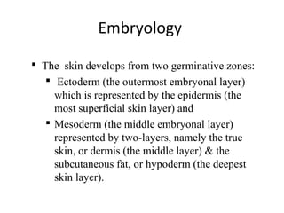 Skin anatomy | PPT