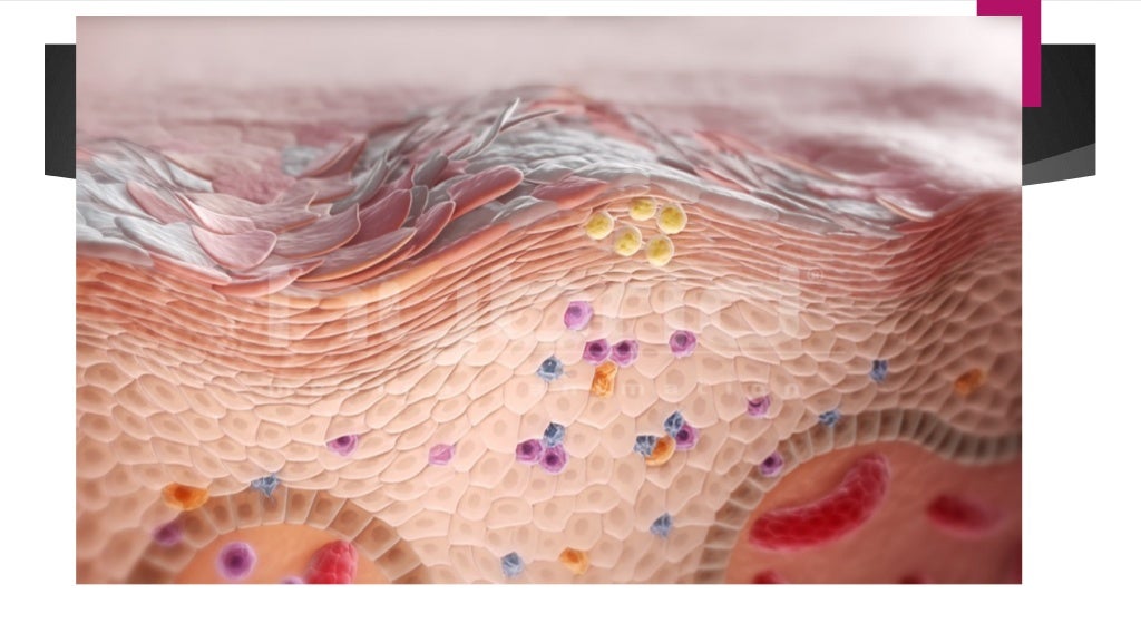Skin and Appendages of skin Biology Diagrams