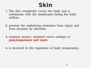 Skin
1. The skin completely covers the body and is
continuous with the membranes lining the body
orifices.
2. protects the underlying structures from injury and
from invasion by microbes
3. contains sensory (somatic) nerve endings of
pain,temperature and touch
4. is involved in the regulation of body temperature.
1
 