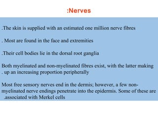 The skin is supplied with an estimated one million nerve fibres.
Most are found in the face and extremities.
Their cell bodies lie in the dorsal root ganglia.
Both myelinated and non-myelinated fibres exist, with the latter making
up an increasing proportion peripherally.
Most free sensory nerves end in the dermis; however, a few non-
myelinated nerve endings penetrate into the epidermis. Some of these are
associated with Merkel cells.
Nerves:
 