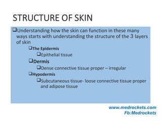 Understanding how the skin can function in these many
ways starts with understanding the structure of the 3 layers
of skin
The Epidermis
Epithelial tissue
Dermis
Dense connective tissue proper – irregular
Hypodermis
Subcutaneous tissue- loose connective tissue proper
and adipose tissue
www.medrockets.com
Fb:Medrockets
 
