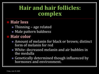 Hair and hair follicles:
complex
 Hair loss
 Thinning – age related
 Male pattern baldness
 Hair color
 Amount of melanin for black or brown; distinct
form of melanin for red
 White: decreased melanin and air bubbles in
the medulla
 Genetically determined though influenced by
hormones and environment.
Friday, June 19, 2020
 