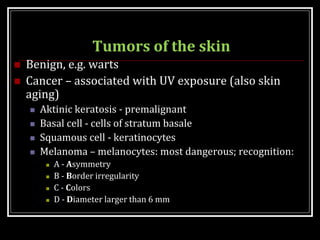 Tumors of the skin
 Benign, e.g. warts
 Cancer – associated with UV exposure (also skin
aging)
 Aktinic keratosis - premalignant
 Basal cell - cells of stratum basale
 Squamous cell - keratinocytes
 Melanoma – melanocytes: most dangerous; recognition:
 A - Asymmetry
 B - Border irregularity
 C - Colors
 D - Diameter larger than 6 mm
 