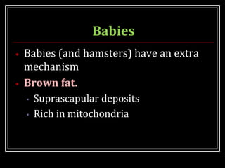 Babies
• Babies (and hamsters) have an extra
mechanism
• Brown fat.
• Suprascapular deposits
• Rich in mitochondria
 