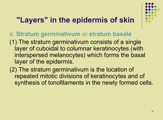 skin of horse ox and dog comparative and | PDF