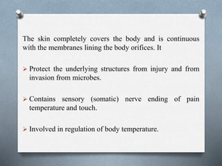The skin completely covers the body and is continuous
with the membranes lining the body orifices. It
 Protect the underlying structures from injury and from
invasion from microbes.
 Contains sensory (somatic) nerve ending of pain
temperature and touch.
 Involved in regulation of body temperature.
 