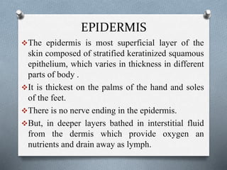 EPIDERMIS
The epidermis is most superficial layer of the
skin composed of stratified keratinized squamous
epithelium, which varies in thickness in different
parts of body .
It is thickest on the palms of the hand and soles
of the feet.
There is no nerve ending in the epidermis.
But, in deeper layers bathed in interstitial fluid
from the dermis which provide oxygen an
nutrients and drain away as lymph.
 