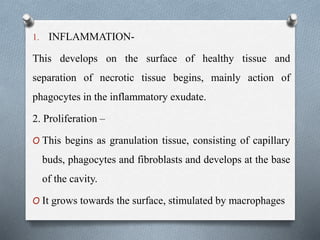 1. INFLAMMATION-
This develops on the surface of healthy tissue and
separation of necrotic tissue begins, mainly action of
phagocytes in the inflammatory exudate.
2. Proliferation –
O This begins as granulation tissue, consisting of capillary
buds, phagocytes and fibroblasts and develops at the base
of the cavity.
O It grows towards the surface, stimulated by macrophages
 