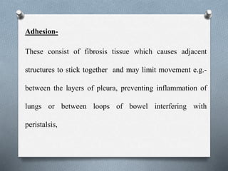 Adhesion-
These consist of fibrosis tissue which causes adjacent
structures to stick together and may limit movement e.g.-
between the layers of pleura, preventing inflammation of
lungs or between loops of bowel interfering with
peristalsis,
 