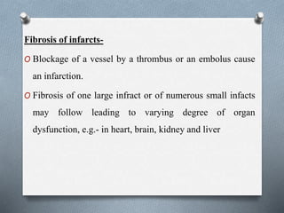 Fibrosis of infarcts-
O Blockage of a vessel by a thrombus or an embolus cause
an infarction.
O Fibrosis of one large infract or of numerous small infacts
may follow leading to varying degree of organ
dysfunction, e.g.- in heart, brain, kidney and liver
 