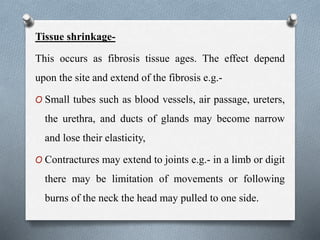 Tissue shrinkage-
This occurs as fibrosis tissue ages. The effect depend
upon the site and extend of the fibrosis e.g.-
O Small tubes such as blood vessels, air passage, ureters,
the urethra, and ducts of glands may become narrow
and lose their elasticity,
O Contractures may extend to joints e.g.- in a limb or digit
there may be limitation of movements or following
burns of the neck the head may pulled to one side.
 