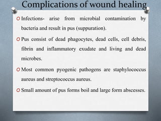 Complications of wound healing
O Infections- arise from microbial contamination by
bacteria and result in pus (suppuration).
O Pus consist of dead phagocytes, dead cells, cell debris,
fibrin and inflammatory exudate and living and dead
microbes.
O Most common pyogenic pathogens are staphylococcus
aureus and streptococcus aureus.
O Small amount of pus forms boil and large form abscesses.
 