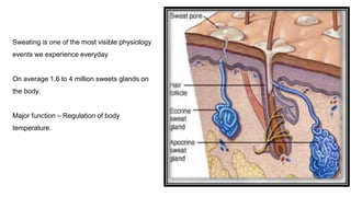 Skin Sweating Function Skin.pptx