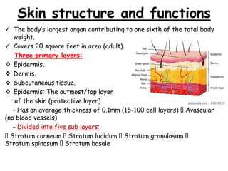 Skin structure and functions
 The body’s largest organ contributing to one sixth of the total body
weight.
 Covers 20 square feet in area (adult).
Three primary layers:
 Epidermis.
 Dermis.
 Subcutaneous tissue.
 Epidermis: The outmost/top layer
of the skin (protective layer)
- Has an average thickness of 0.1mm (15-100 cell layers) Avascular
(no blood vessels)
- Divided into five sub layers:
Stratum corneum Stratum lucidum Stratum granulosum
Stratum spinosum Stratum basale
 